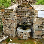 DSCN8991
