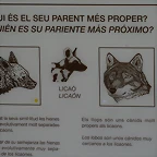 Zoo de Barcelona 09-02-11 340