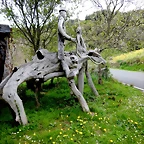 DSCN4327