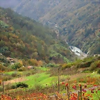 81-IMG_3962