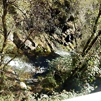 DSCN0227