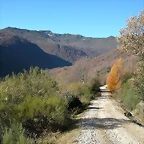 DSCN6889