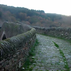 DSCN4915