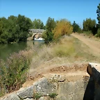 DSCN8125
