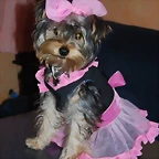 Chanel!!