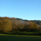 DSCN6659