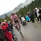 CONTADOR,ETAPA15