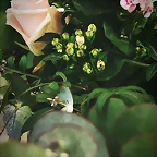 Mar?a IG Stories 13-4-2018 (4)