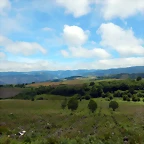DSCN1411