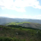 DSCN8999