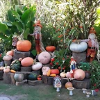 20180927_160614_resized (1)