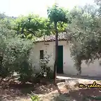 01, cortijo de julio, marca