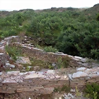 DSCN4222