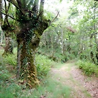 DSCN4369