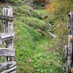 DSCN0586