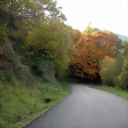 DSCN0500