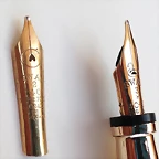 NibS1