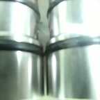 TORICAS 032