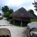 DSCN6558