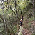 DSCN8778