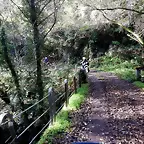 DSCN4446'5