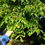 DSCN6380