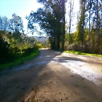 P1130349