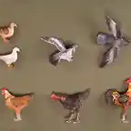 animals birds