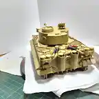 Tiger72