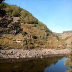 DSCN1581