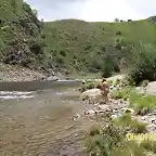 RIO GRANDE