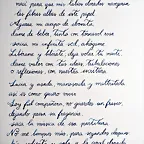 IMG_20240126_222220_556