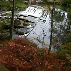 DSCN5791