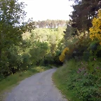 DSCN9218