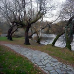 DSCN0770