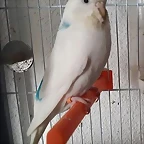 20170610_202923