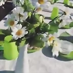 Video Mar?a IG Stories 8-12-2019