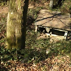 DSCN2293
