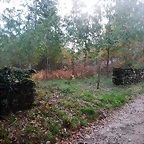 DSCN0721