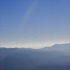 CIMG0706