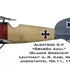 Albatros D.V. CMeyer