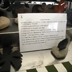 DSCN4109