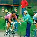 GIRO1982,BARON,HINAUL,BECCIA