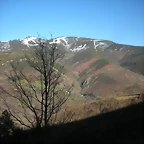 DSCN2966