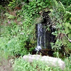 DSCN4361