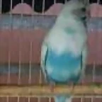 20190617_132955