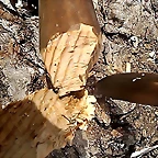 WP_20160308_011