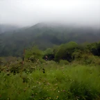 DSCN0203