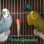 FB_IMG_1501669979134