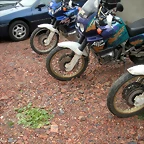 DSCN4937